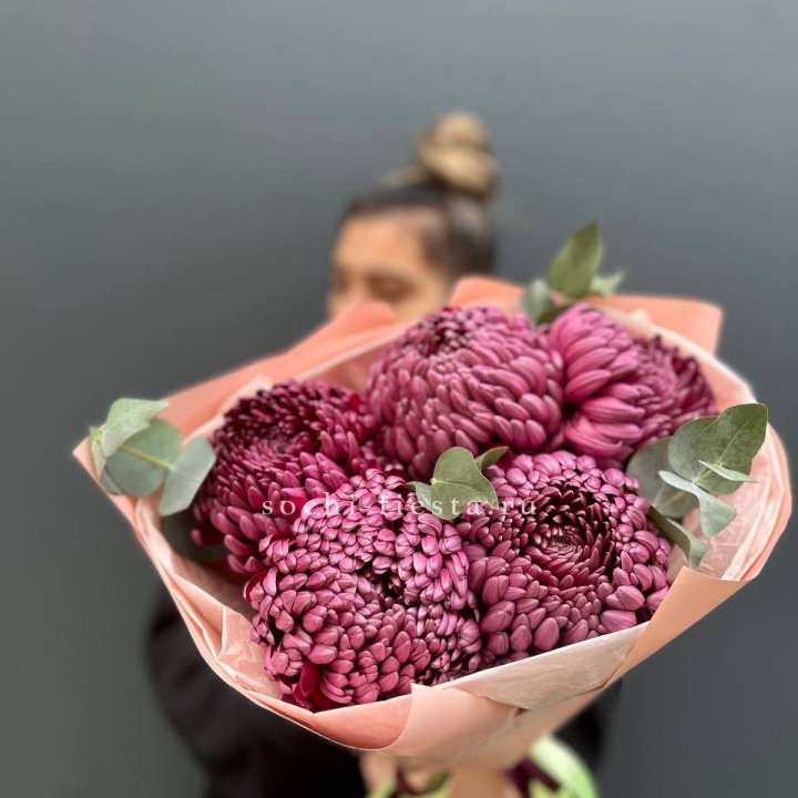 Хризантемы  Бигуди  в Балаково