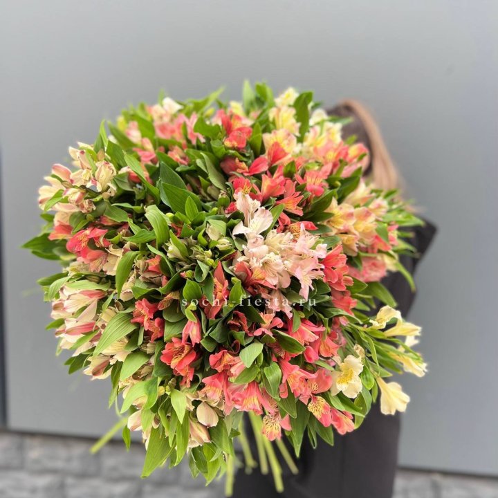 51 альстромерия в Балаково