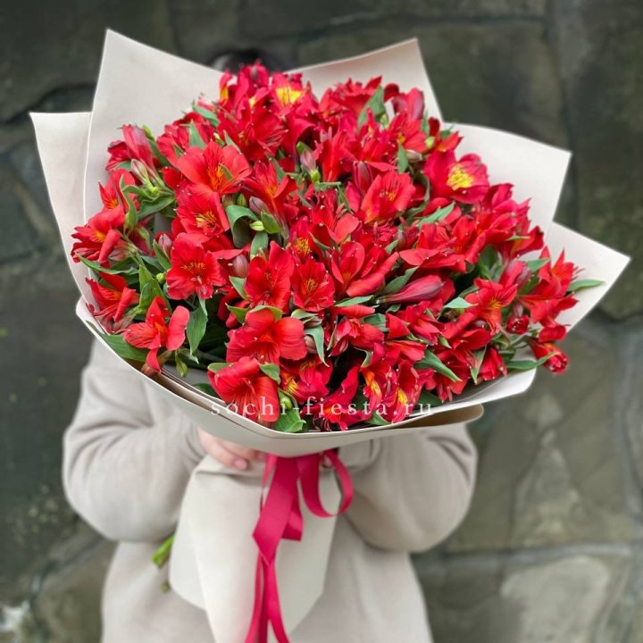 51 альстромерия в Балаково