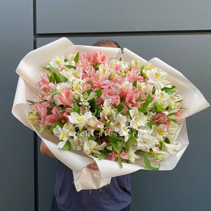 39 альстромерий в Балаково