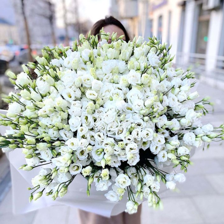 101 белая эустома в Балаково