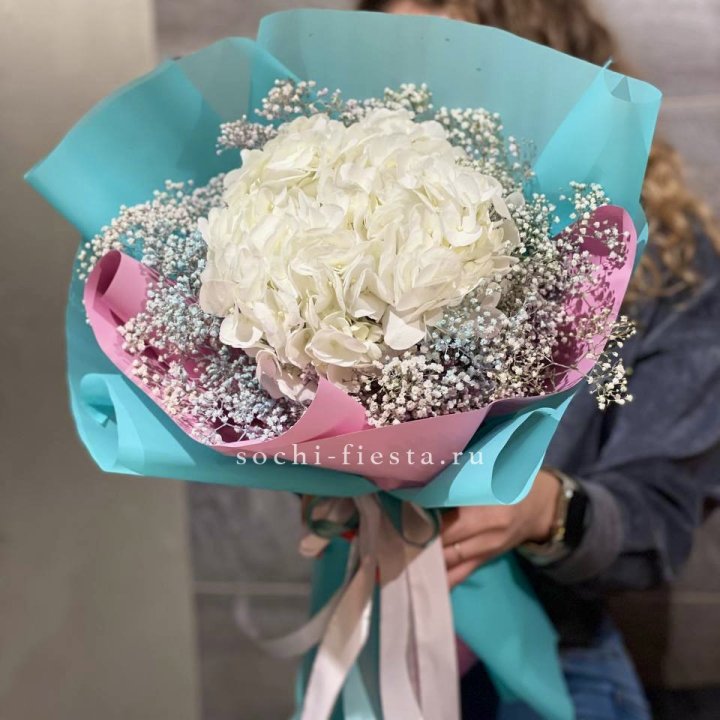 Гортензия "Райдов" в Балаково