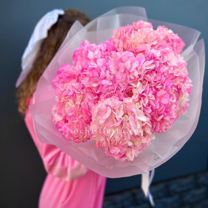 7 ярко розовых гортензий в Балаково