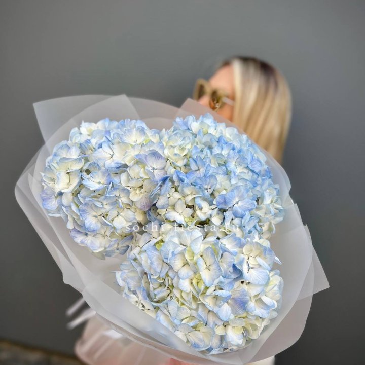 Букет из 3 голубых гортензий  в Балаково