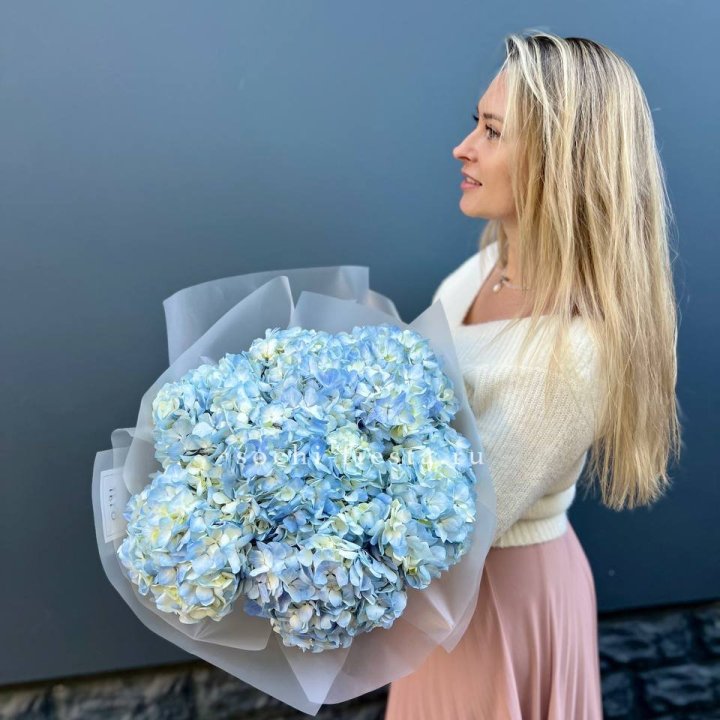 7 голубых гортензий в Балаково