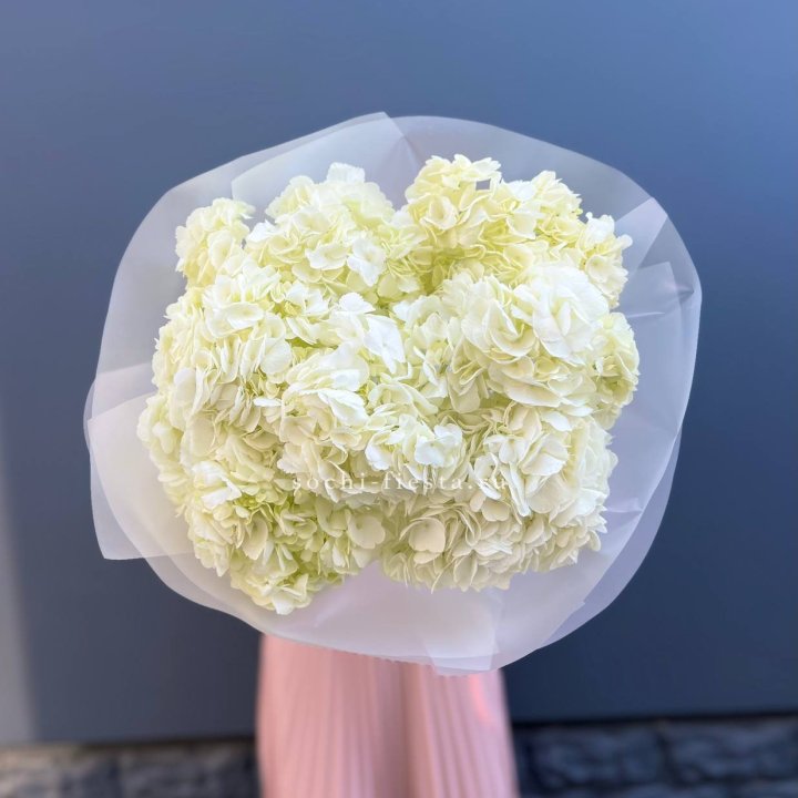 7 белых гортензий в Балаково