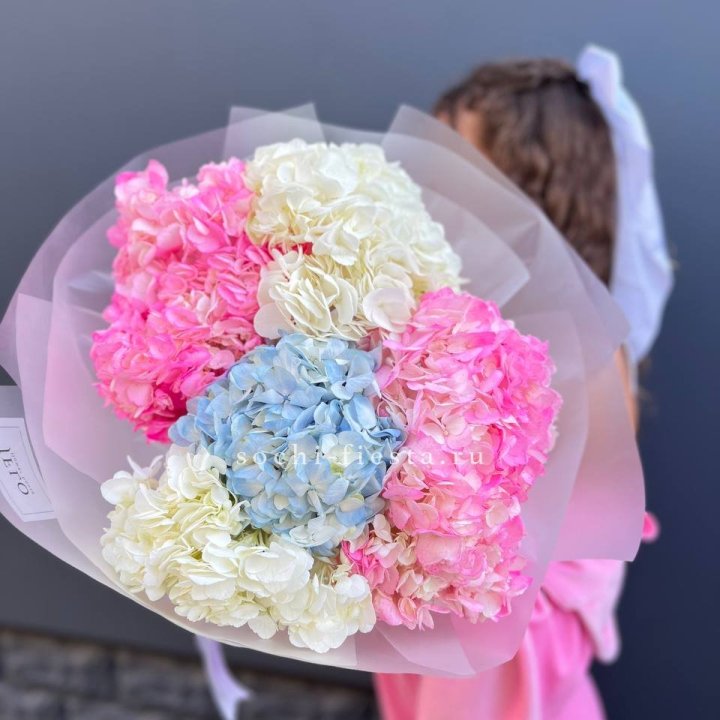 7 гортензий микс в Балаково