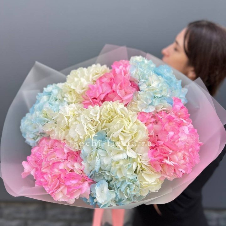 9 гортензий микс в Балаково