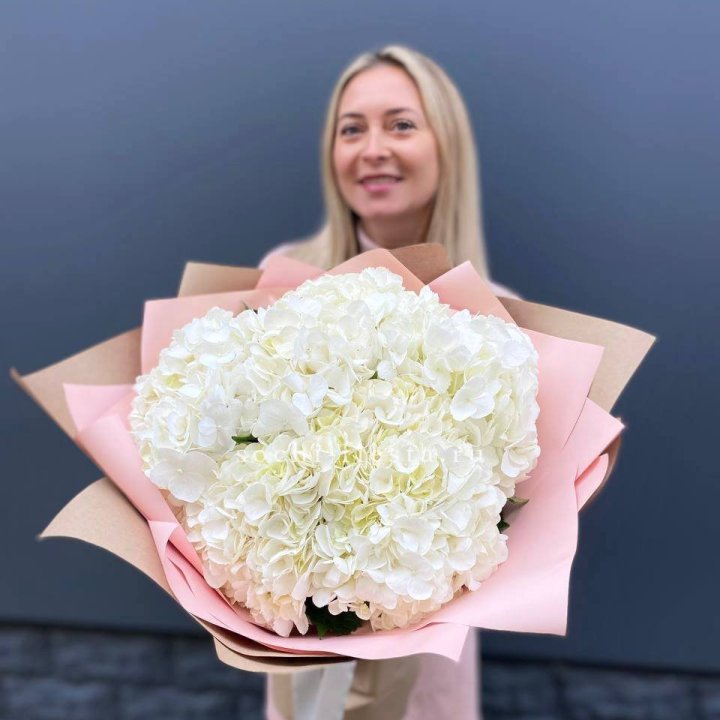 Гортензия белая в Балаково