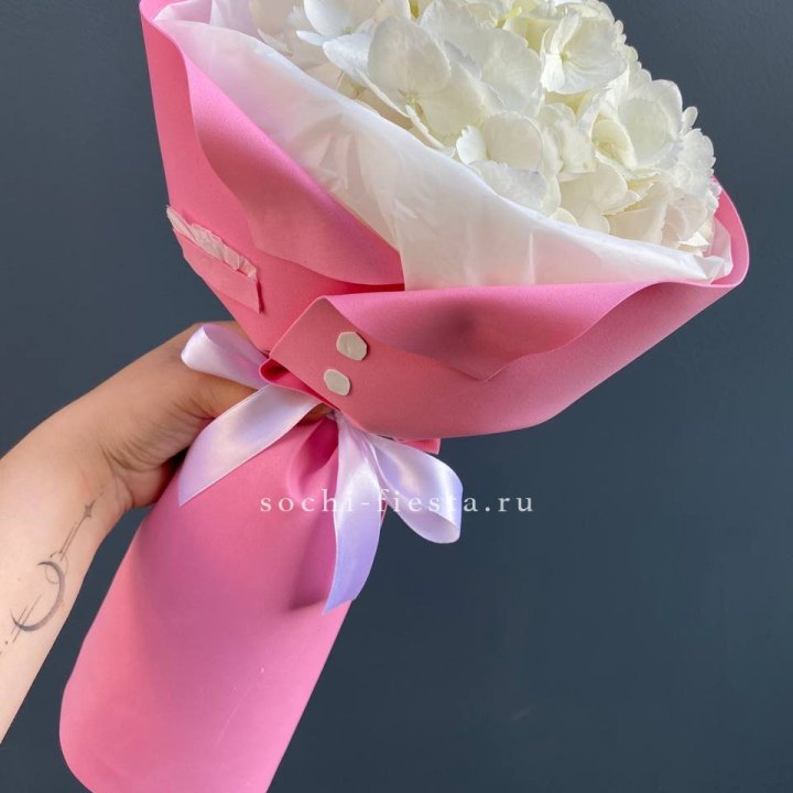 Гортензия в розовом пиджаке в Балаково