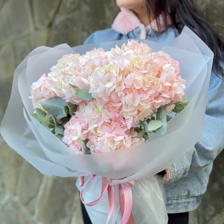 5 розовых гортензий в Балаково