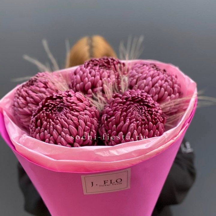 Хризантемы  Бигуди с стифой в Балаково