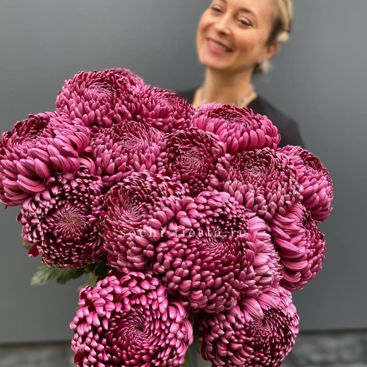 Охапка хризантем Бигуди в Балаково