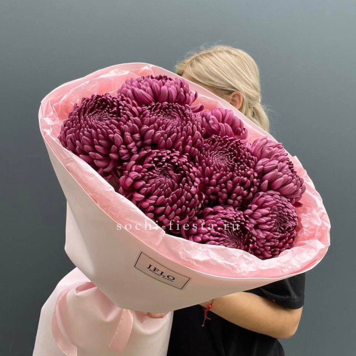 9 хризантем бигуди в Балаково