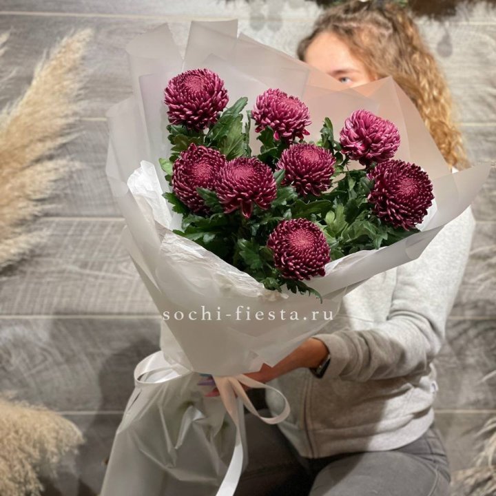 Хризантемы Бигуди в Балаково