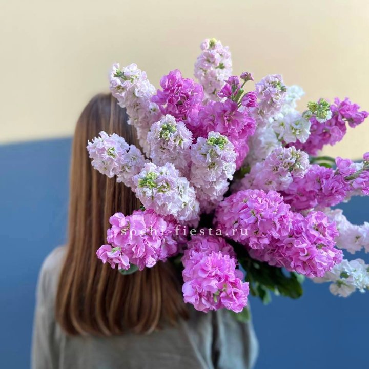 Охапка маттиолы в Балаково