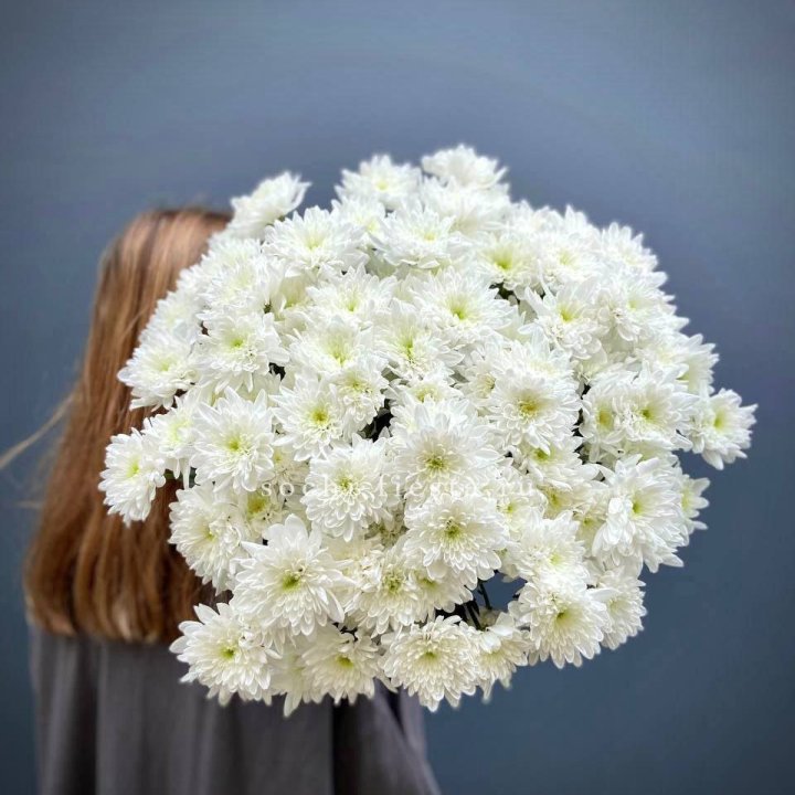 Охапка Хризантемы кустовой в Балаково