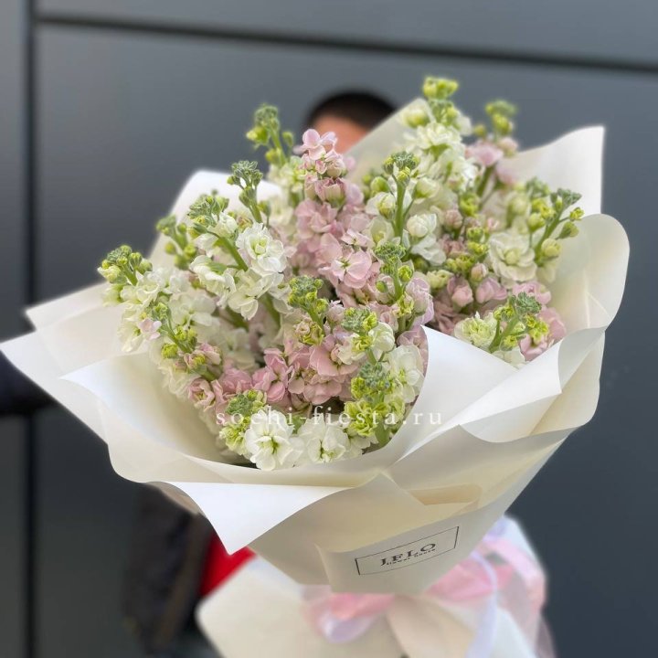 29 маттиол  в Балаково