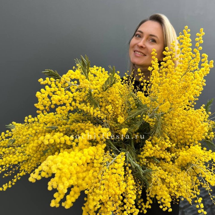 Охапка мимозы №2 в Балаково