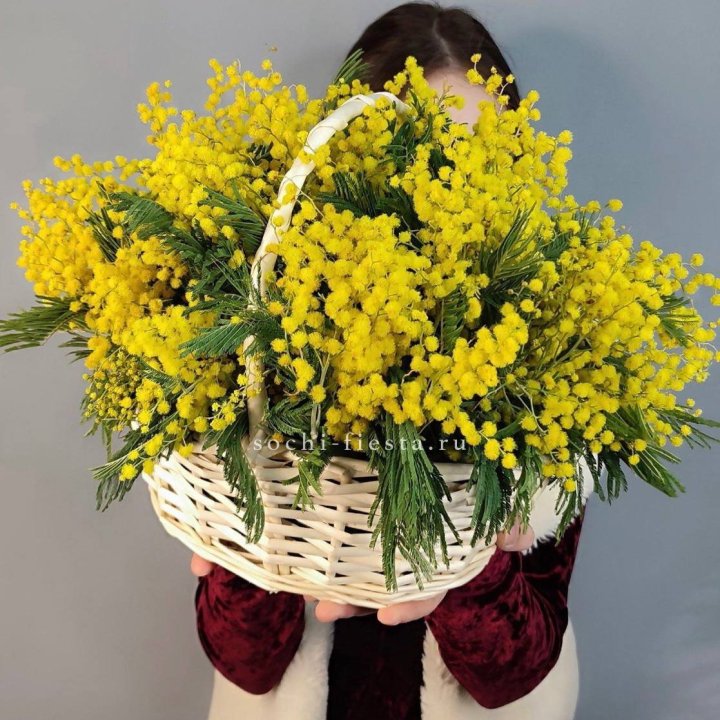 Корзина ароматной мимозы в Балаково