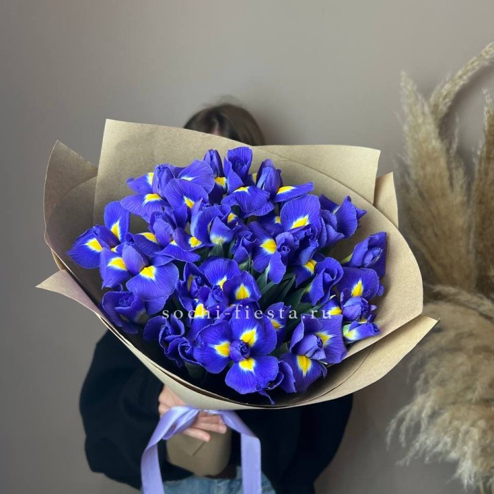 Ирисы в Балаково