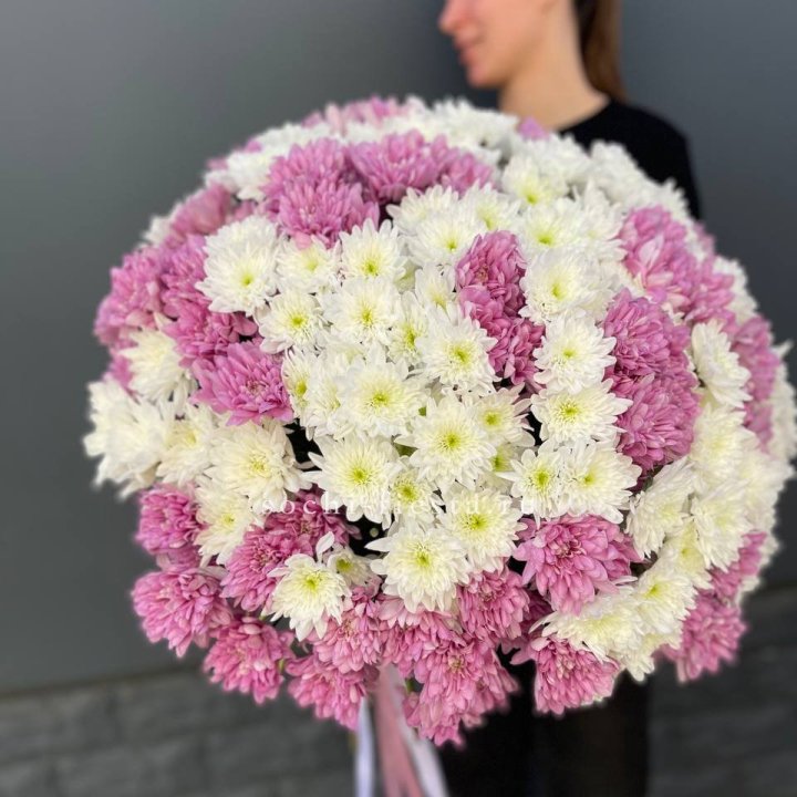  Букет 25 хризантем микс в Балаково