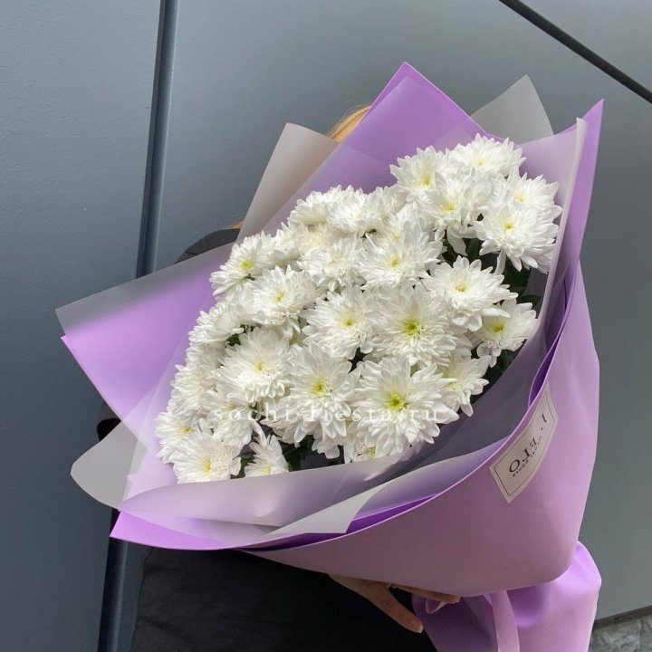  7 хризантем  в Балаково