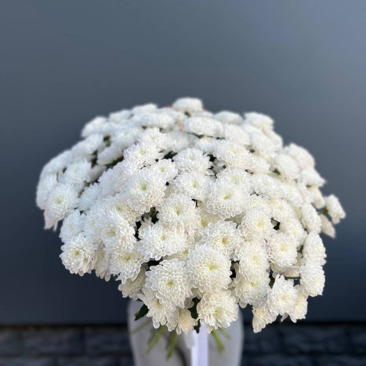  25 хризантем белых в Балаково