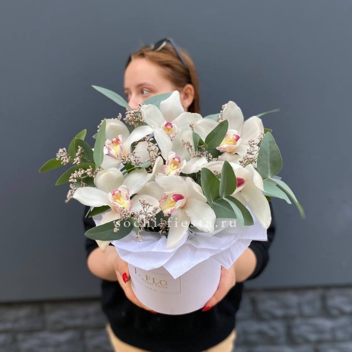 7 орхидей в боксе в Балаково