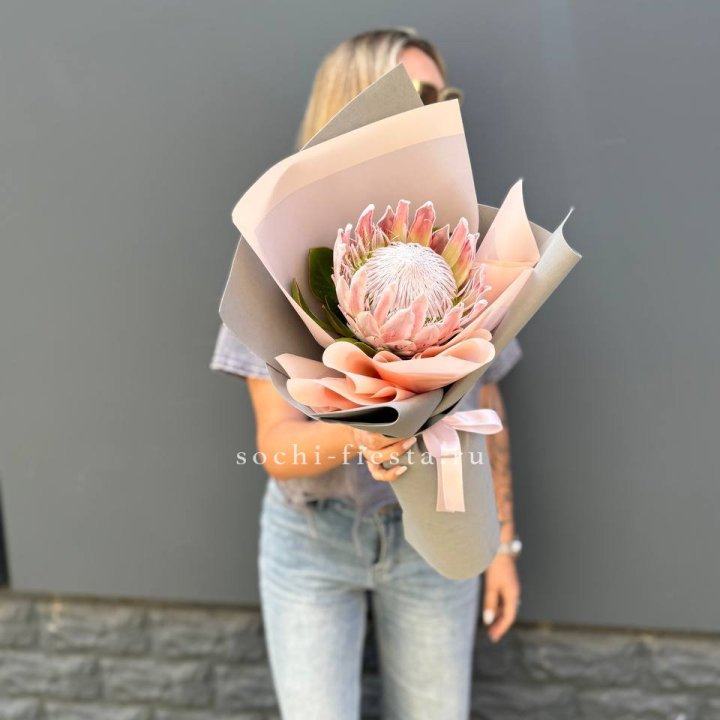 Протея мини  в Балаково