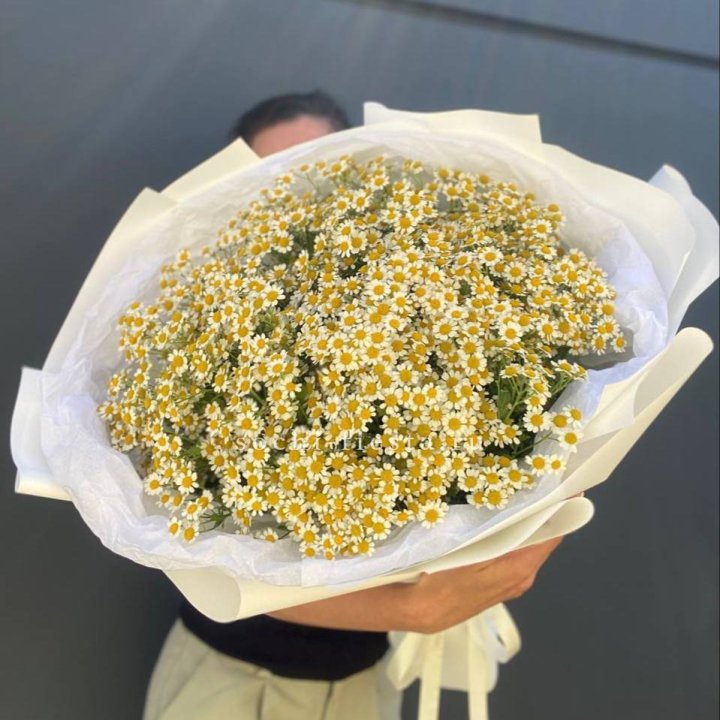 Букет ромашек №2 в Балаково