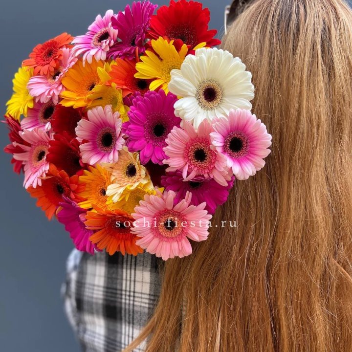 Охапка гербер  в Балаково