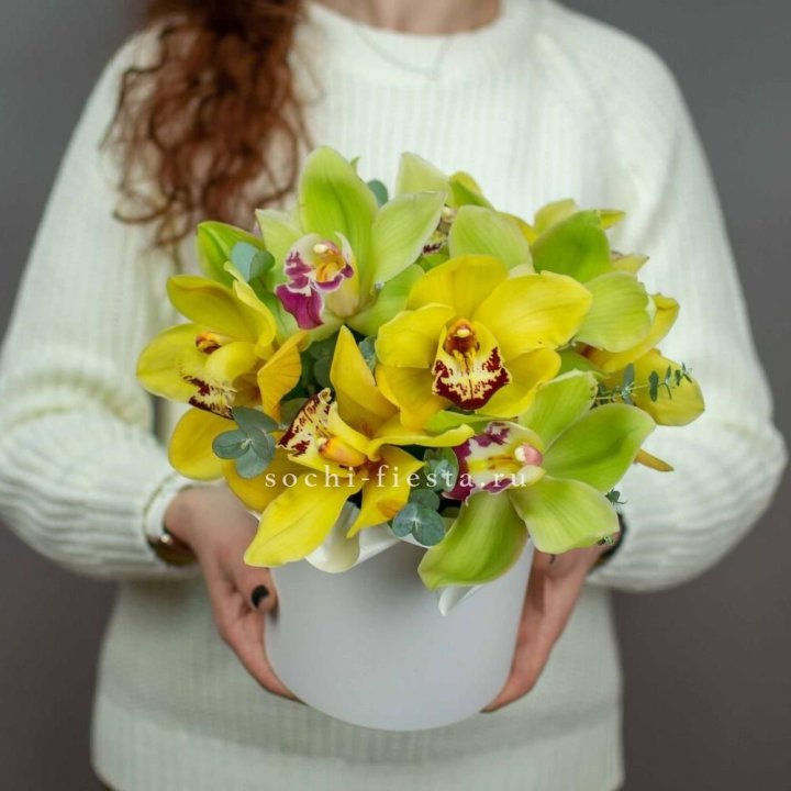 Бокс с орхидей №1 в Балаково