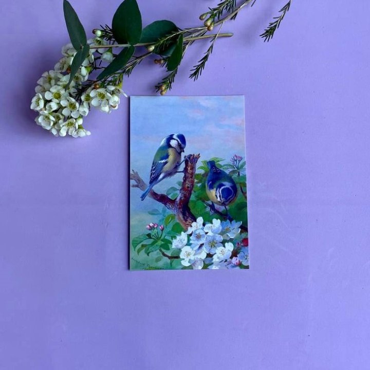 Открытка к букету "Птицы" в Балаково