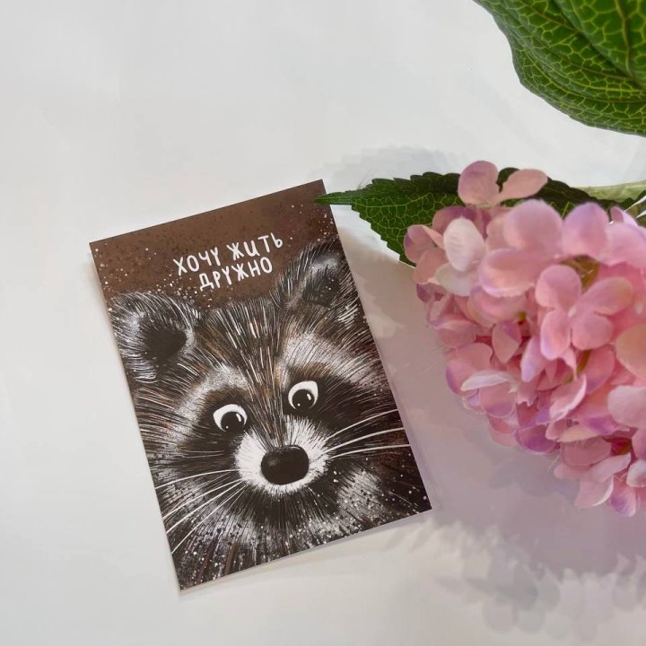 Открытка к букету "Енотик" в Балаково