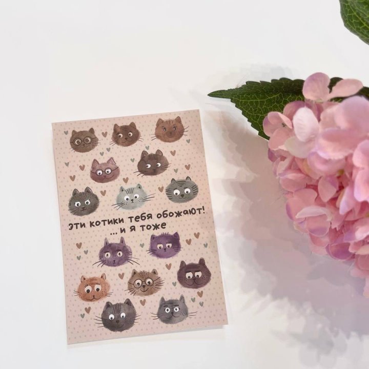 Открытка к букету "Котики" в Балаково