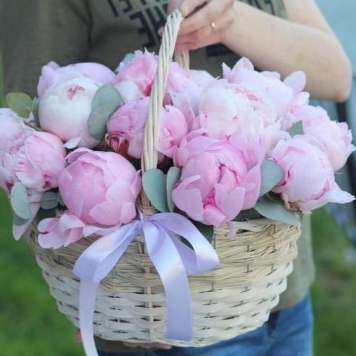 15 пионов в корзине в Балаково