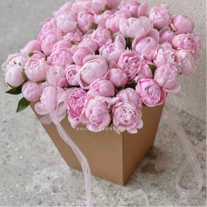 49 пионов в крафт коробке в Балаково