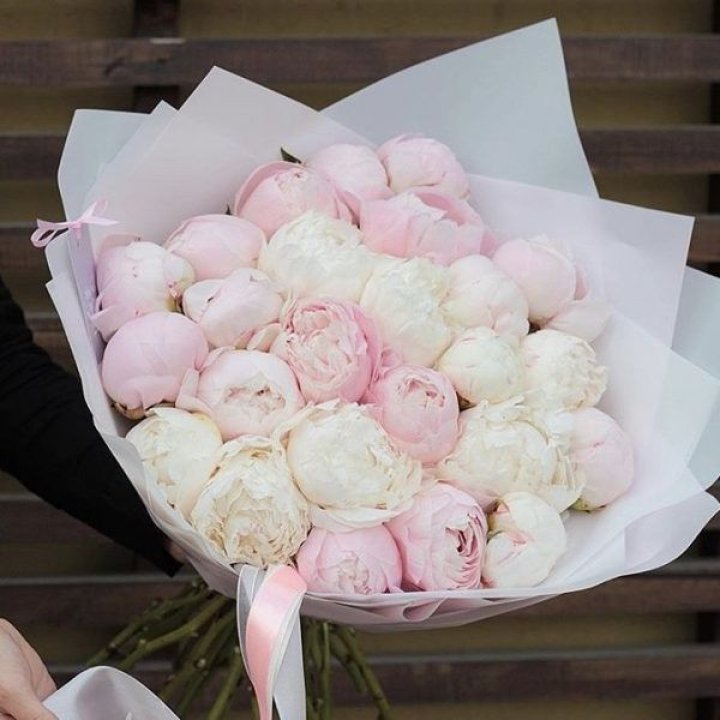 29 пионов в Балаково