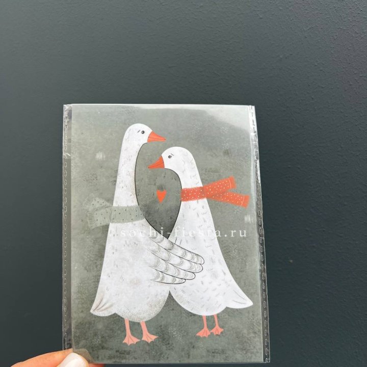 Открытка к букету "Гуси” в Балаково