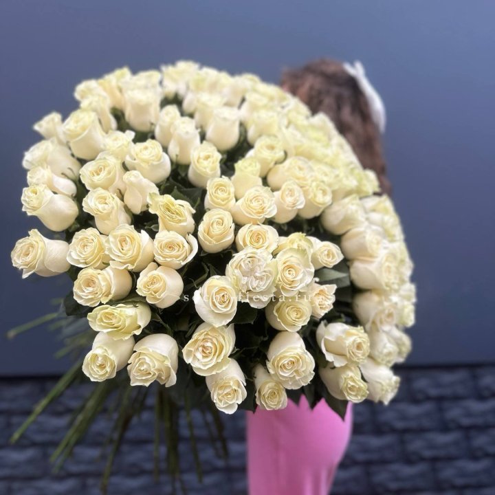 101 белая высокая импортная роза под ленту в Балаково