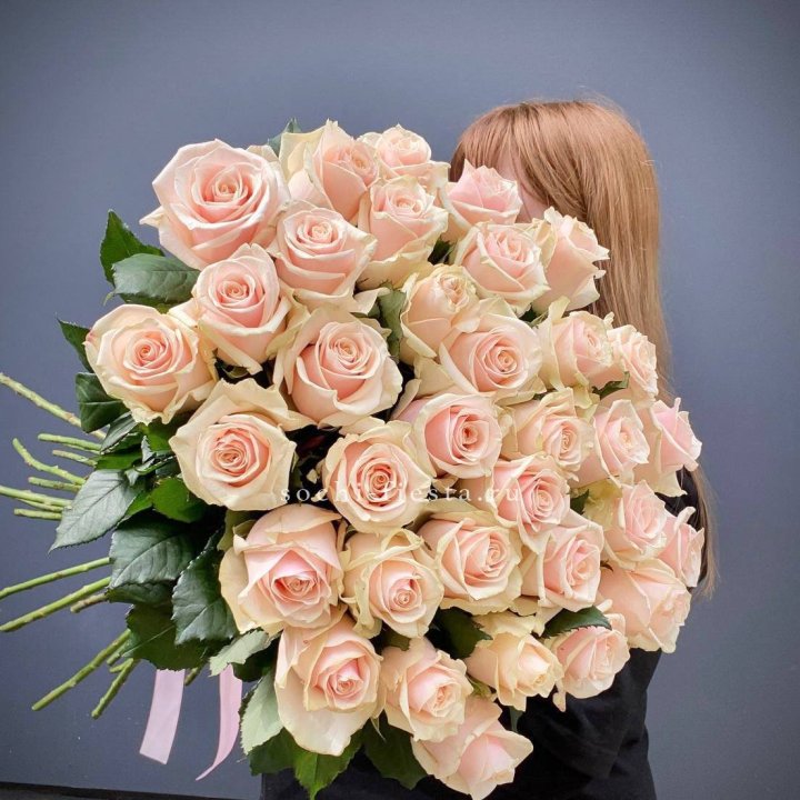 35 кремовых высоких роз в Балаково