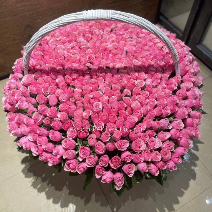 501 розовая роза в Балаково