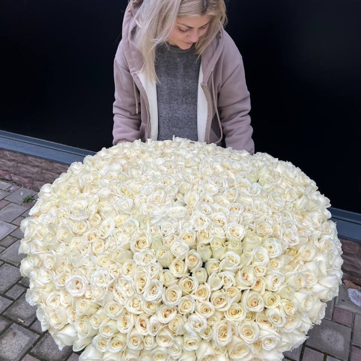 501 белая роза в корзине в Балаково