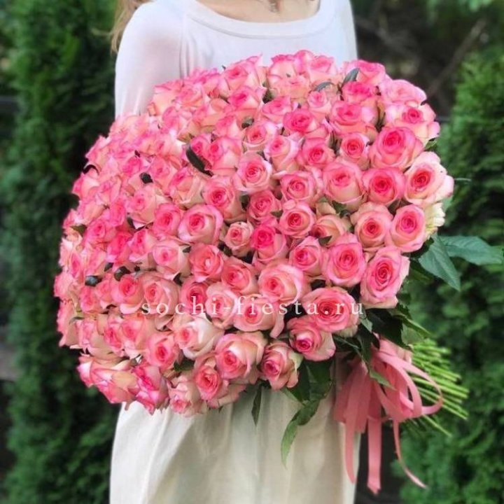 101  джумилия роза  в Балаково