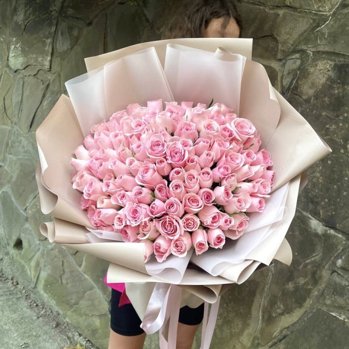 101 нежно-розовая роза Каролина  в Балаково