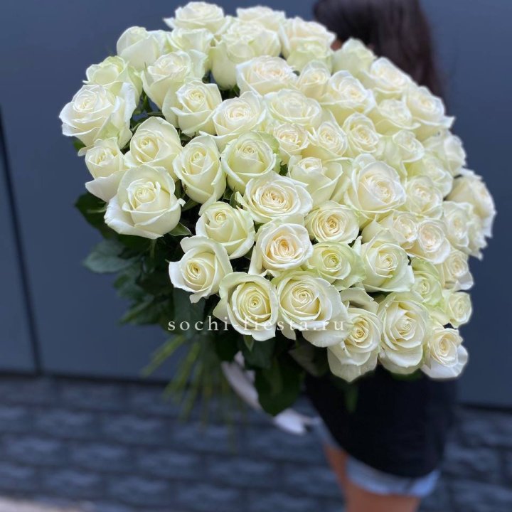 51 белоснежная высокая роза в Балаково