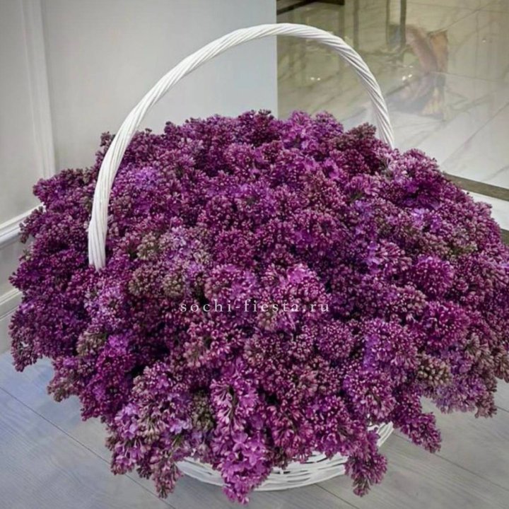Корзина сирени в Балаково