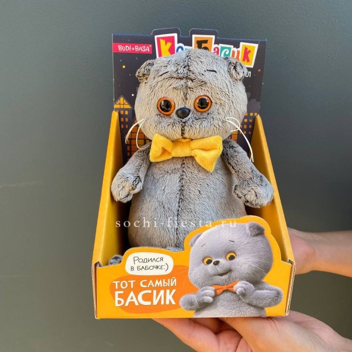 Кот Басик с бабочкой в Балаково