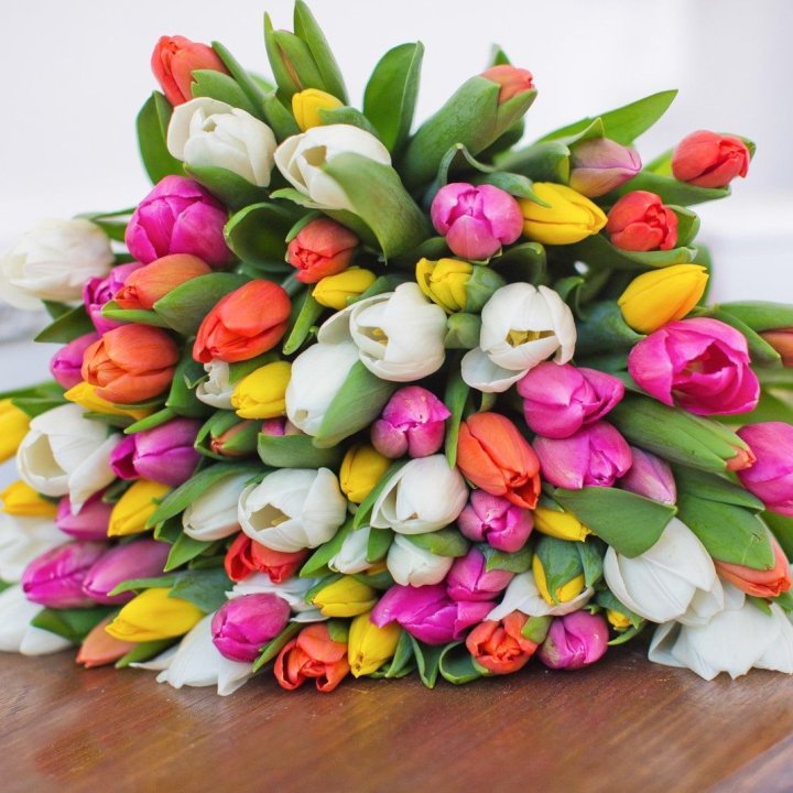 79 тюльпанов "Рандом" в Балаково